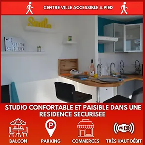 Le Petit Studieux - Parking - Animaux Acceptes - Centre Accessible A Pied Albi